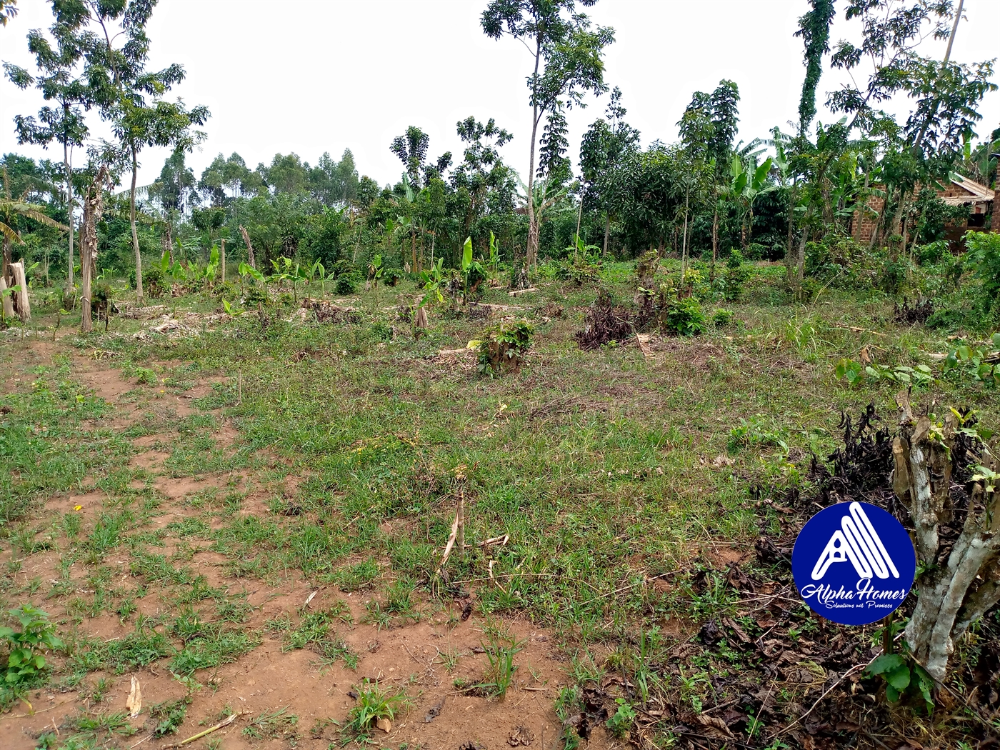 Residential Land for sale in Kiyunga Mukono