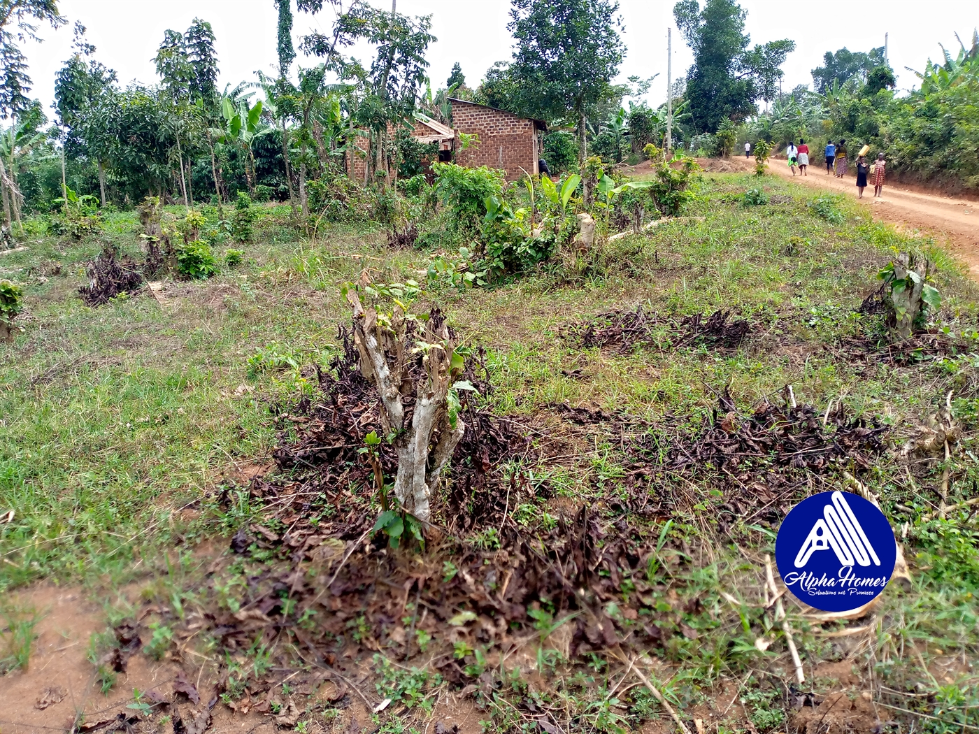 Residential Land for sale in Kiyunga Mukono