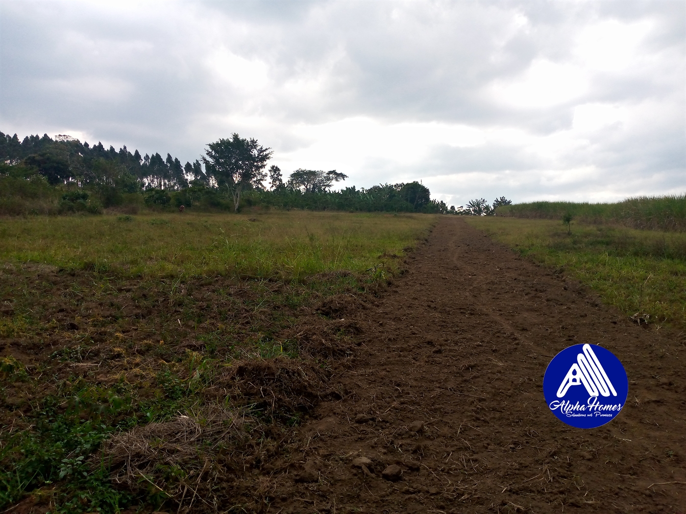 Residential Land for sale in Nakifuma Mukono