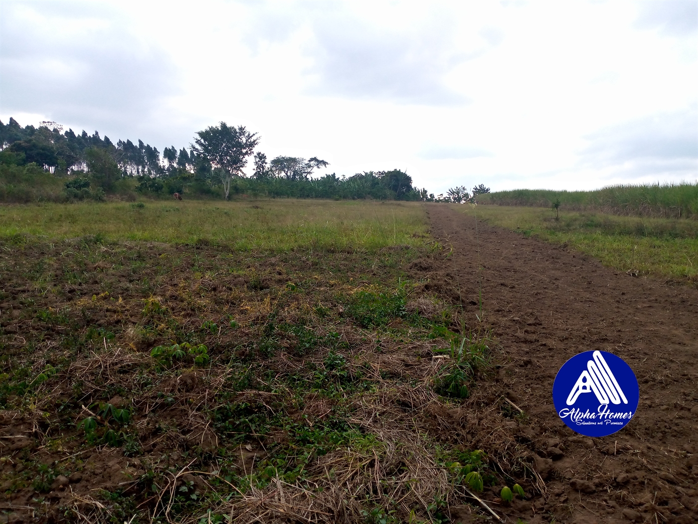 Residential Land for sale in Nakifuma Mukono