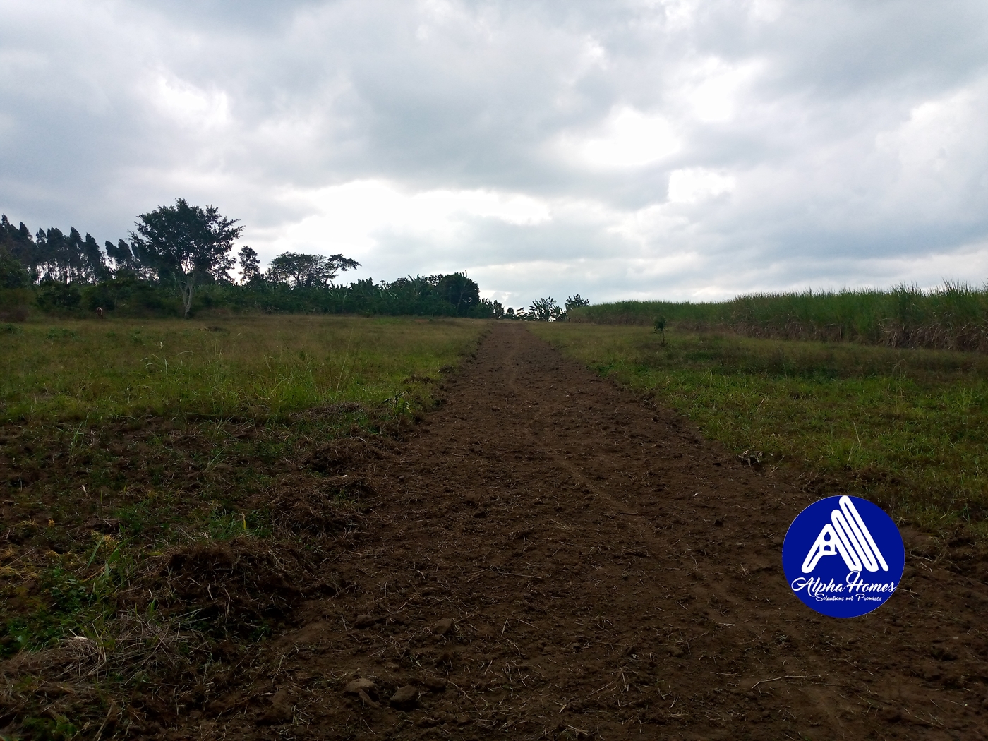 Residential Land for sale in Nakifuma Mukono