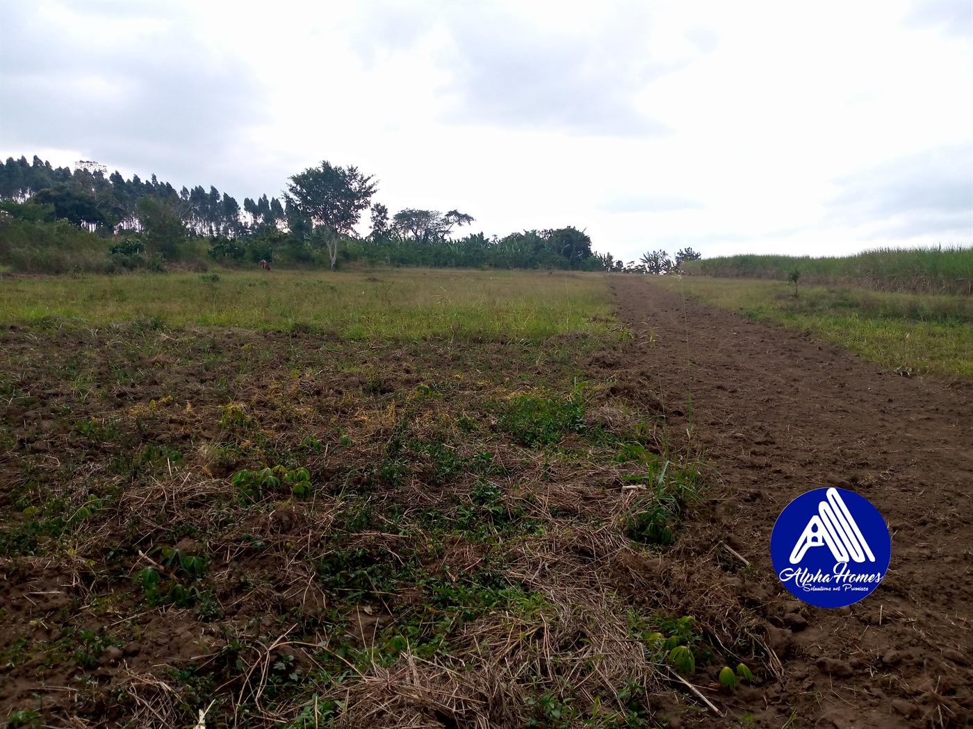 Residential Land for sale in Nakifuma Mukono