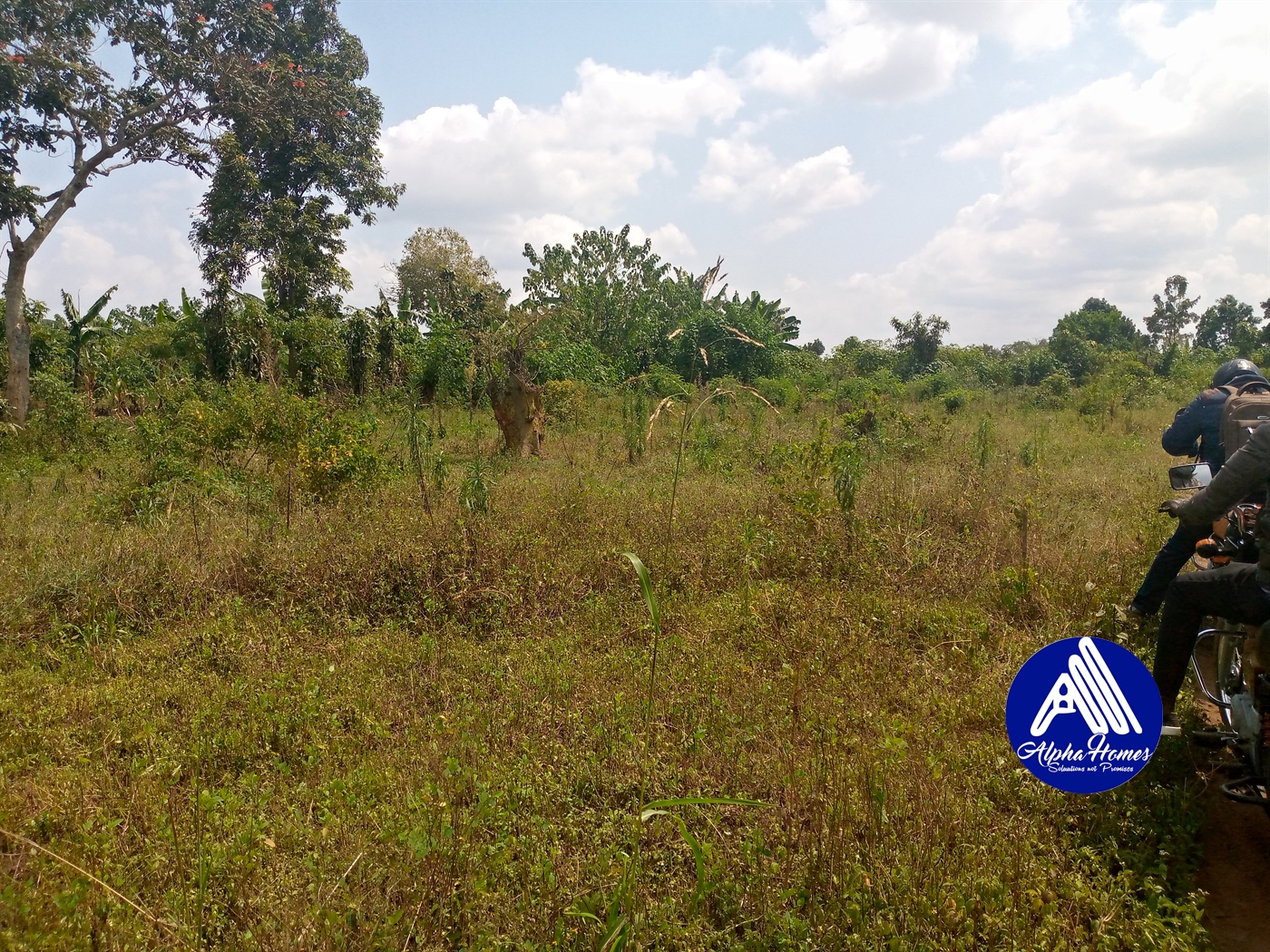 Residential Land for sale in Kiyunga Mukono