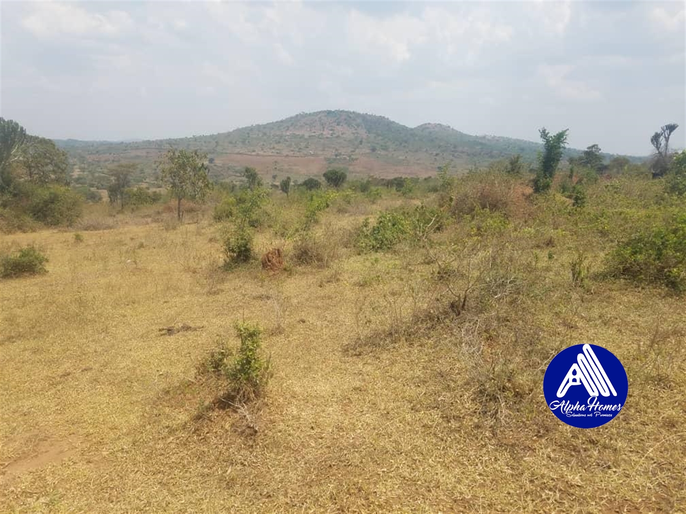 Agricultural Land for sale in Gomba Gomba