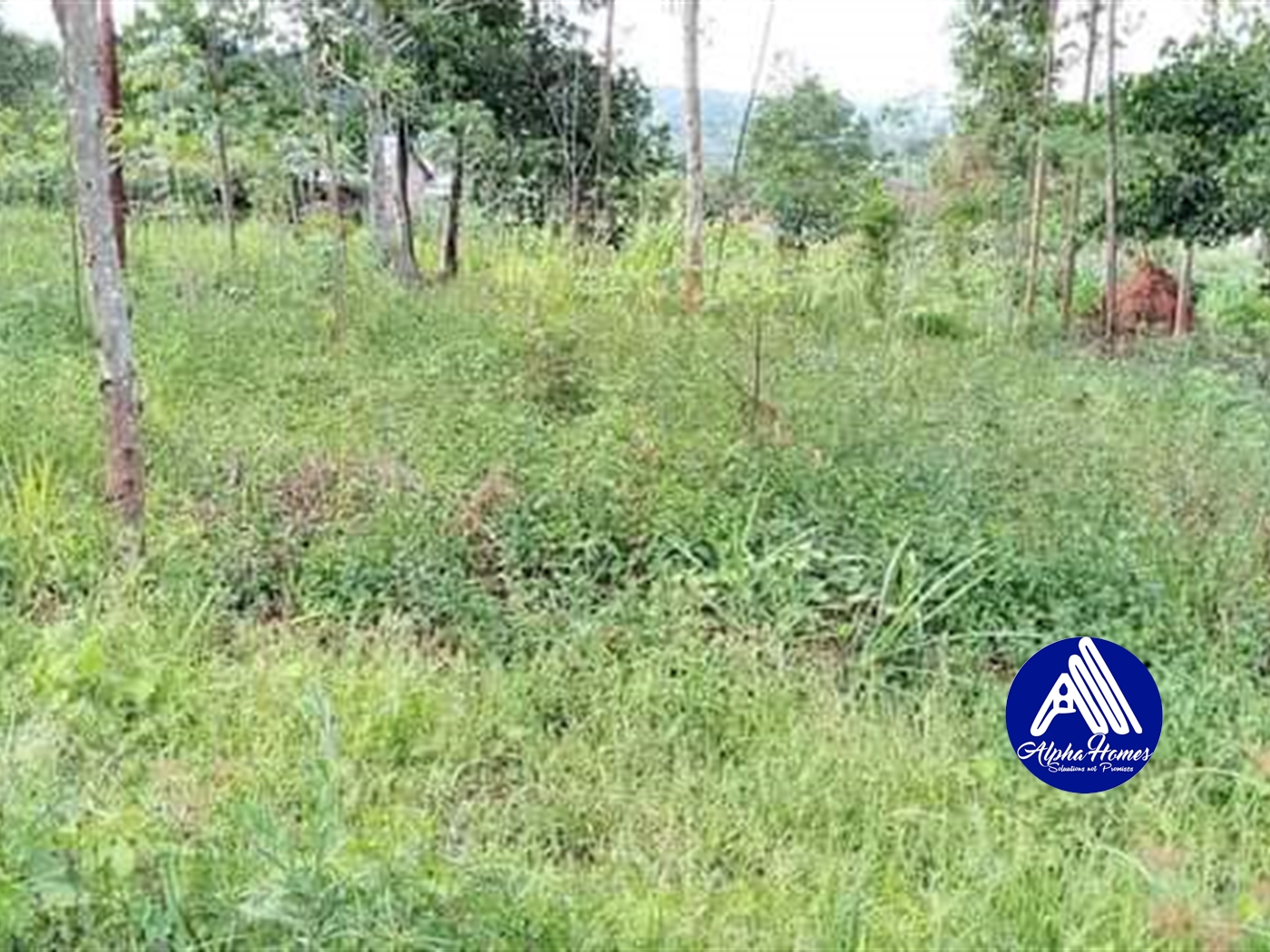 Residential Land for sale in Kiyunga Mukono