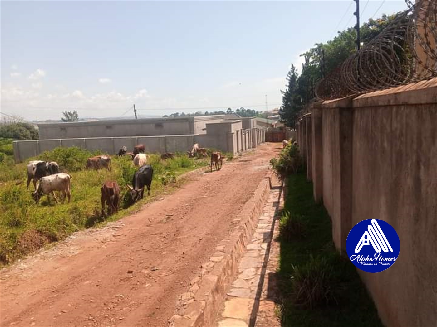 Residential Land for sale in Bweyogerere Wakiso