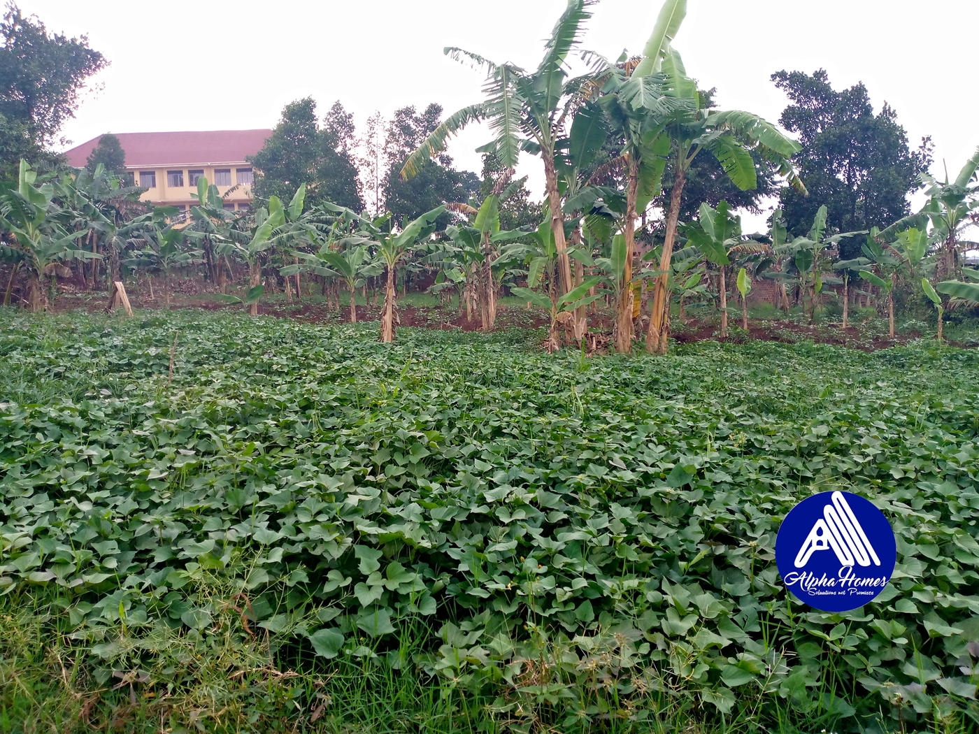 Residential Land for sale in Kira Wakiso