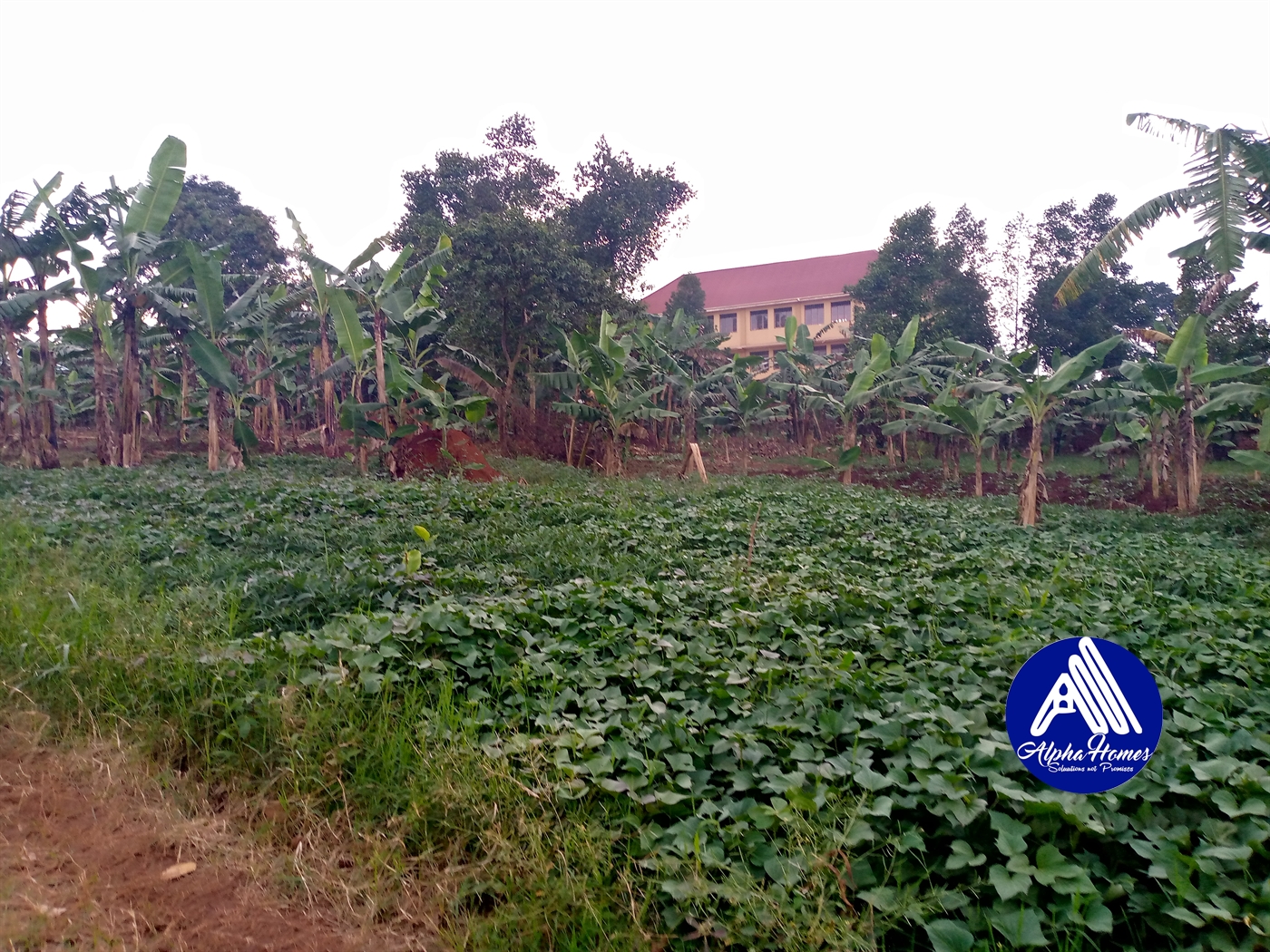 Residential Land for sale in Kira Wakiso