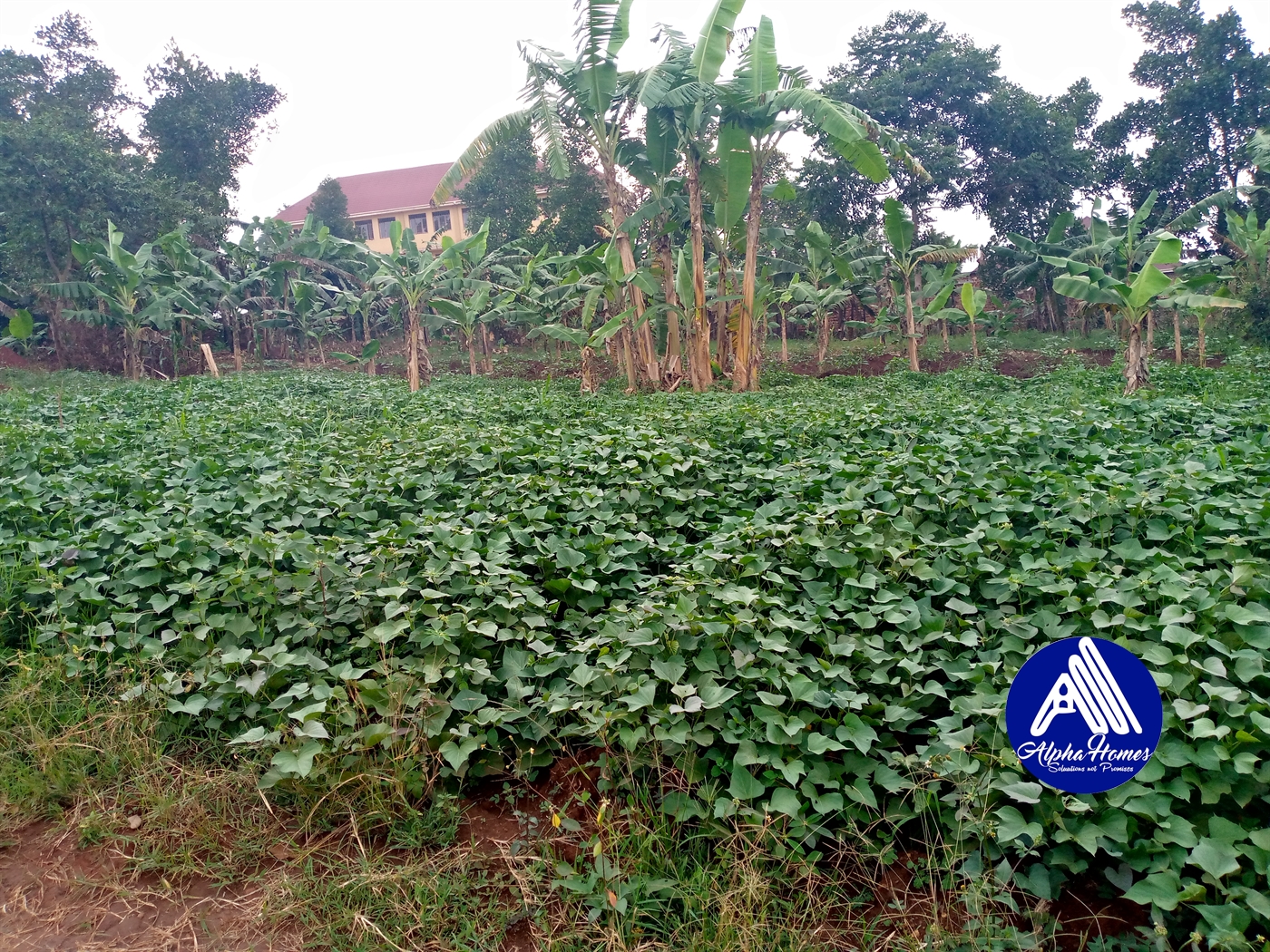 Residential Land for sale in Kira Wakiso