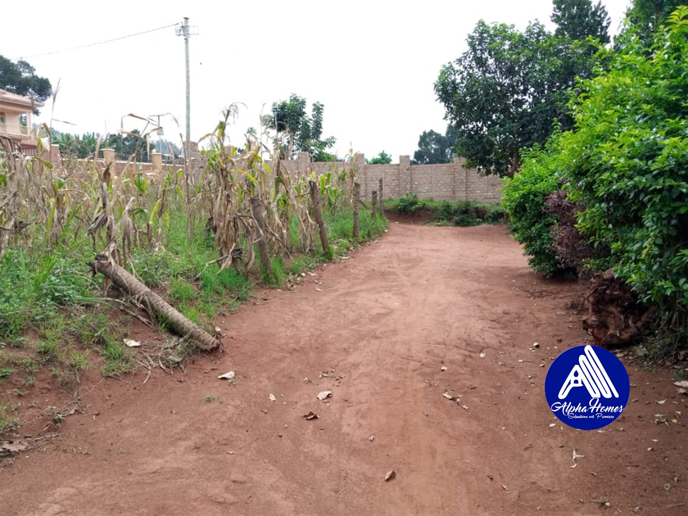 Residential Land for sale in Kitende Wakiso