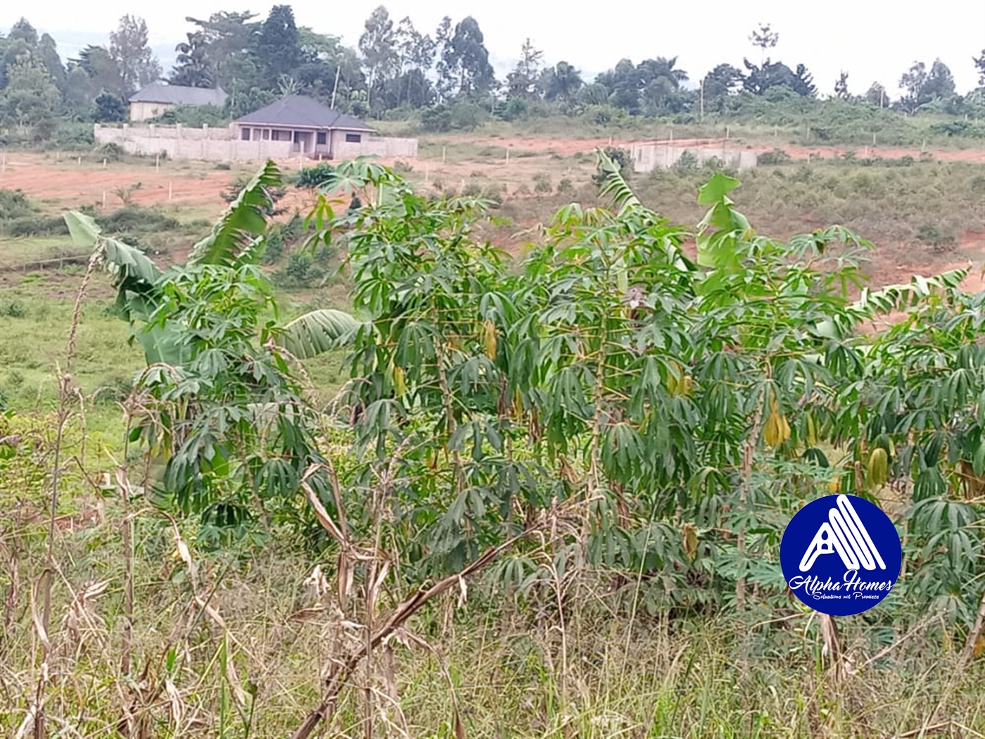 Residential Land for sale in Kitende Wakiso