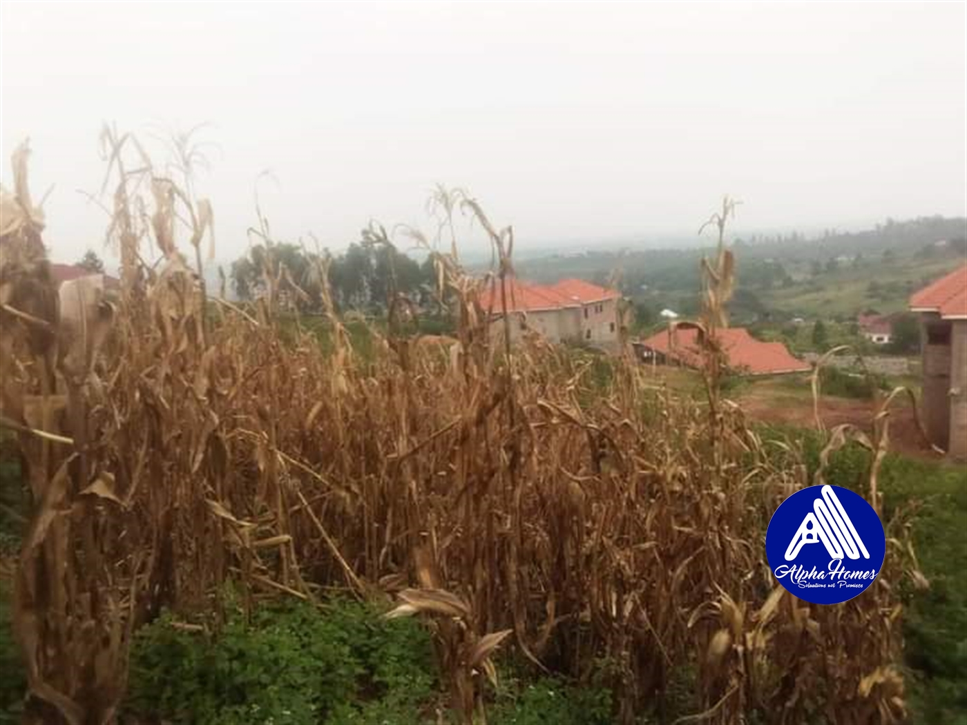 Residential Land for sale in Namugongo Wakiso