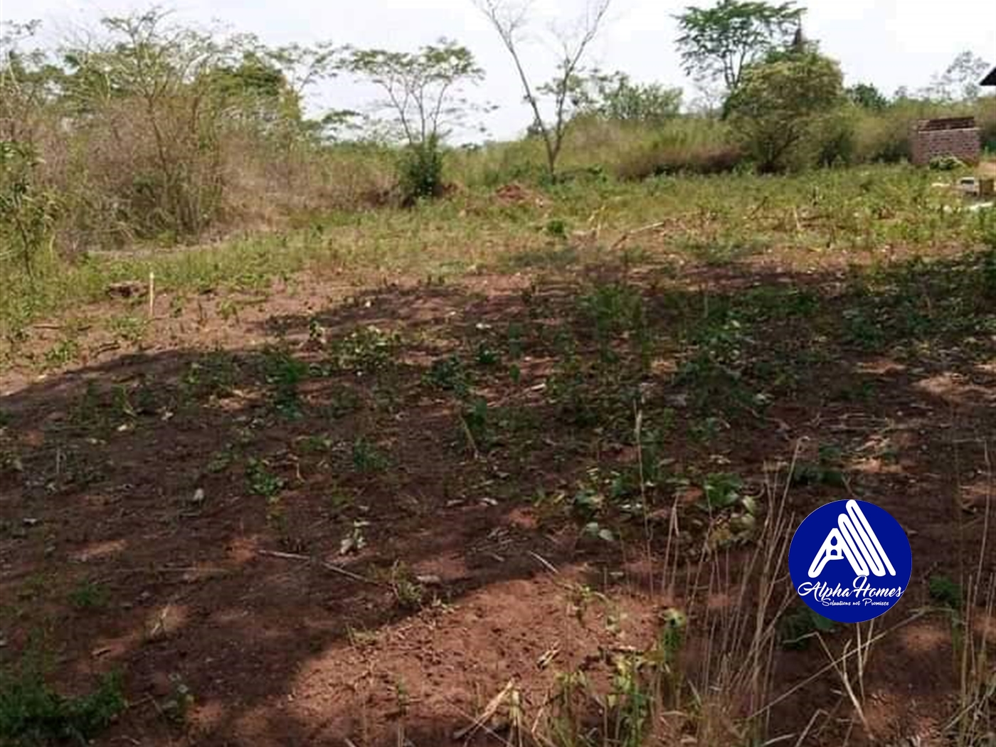 Agricultural Land for sale in Katuggo Luweero