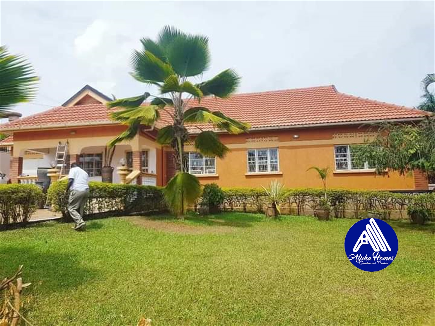 Bungalow for rent in Muyenga Kampala