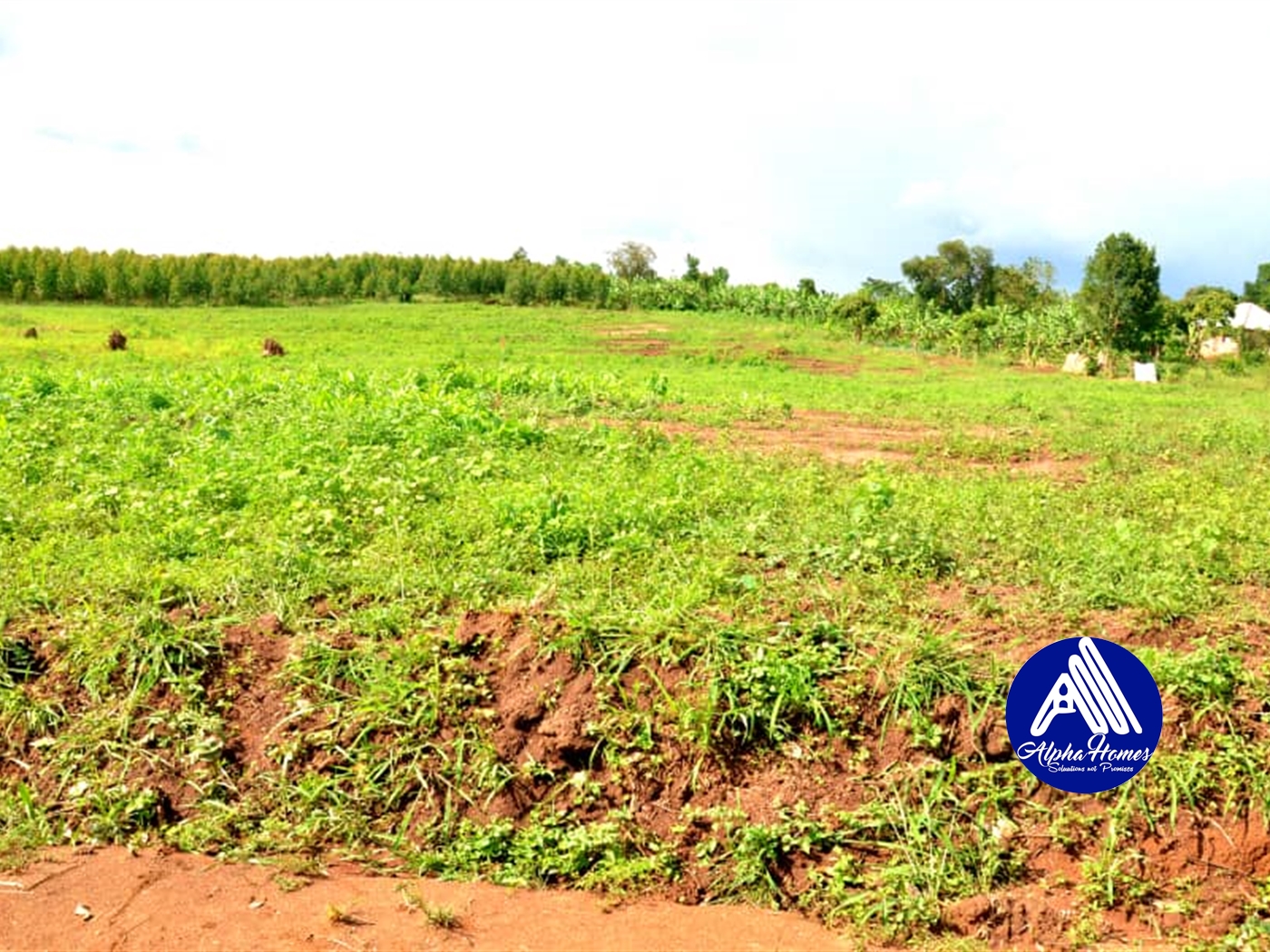 Residential Land for sale in Gayaza Wakiso