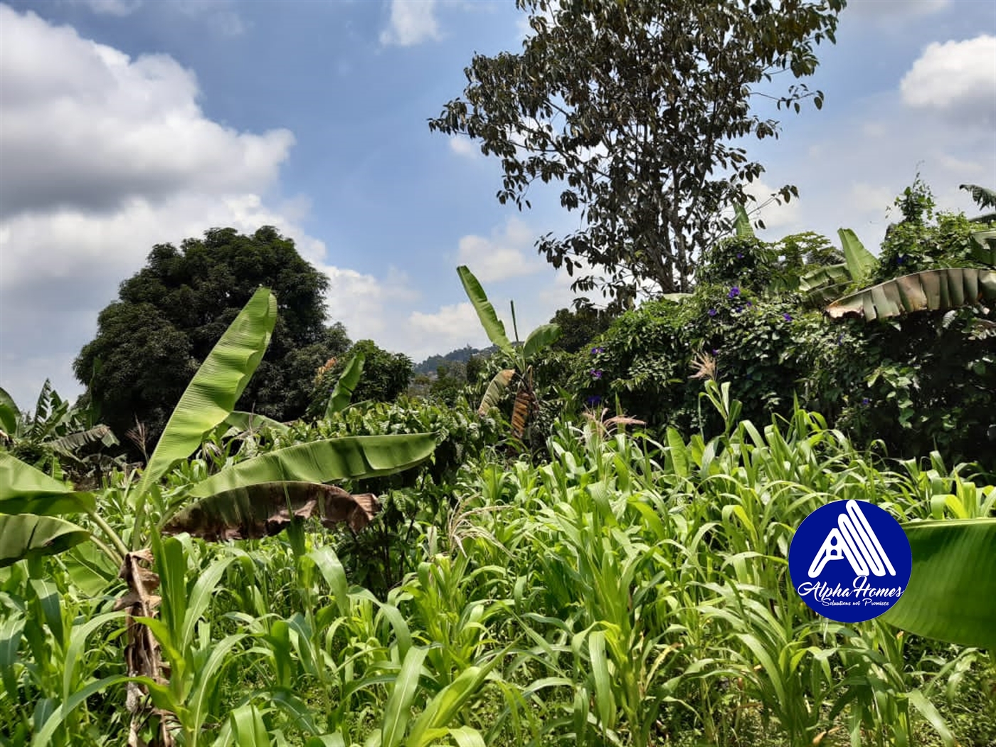 Commercial Land for sale in Mutuugga Wakiso