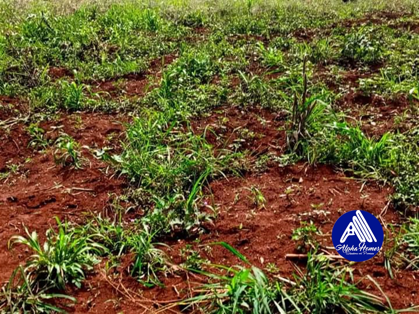 Agricultural Land for sale in Nabuta Buyikwe