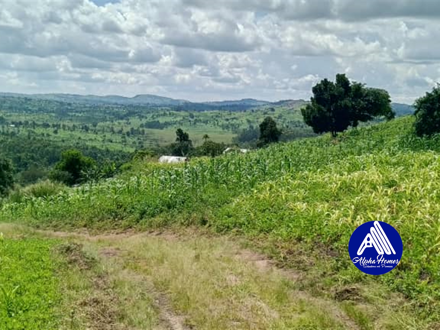 Agricultural Land for sale in Kyaka Kyegegwa