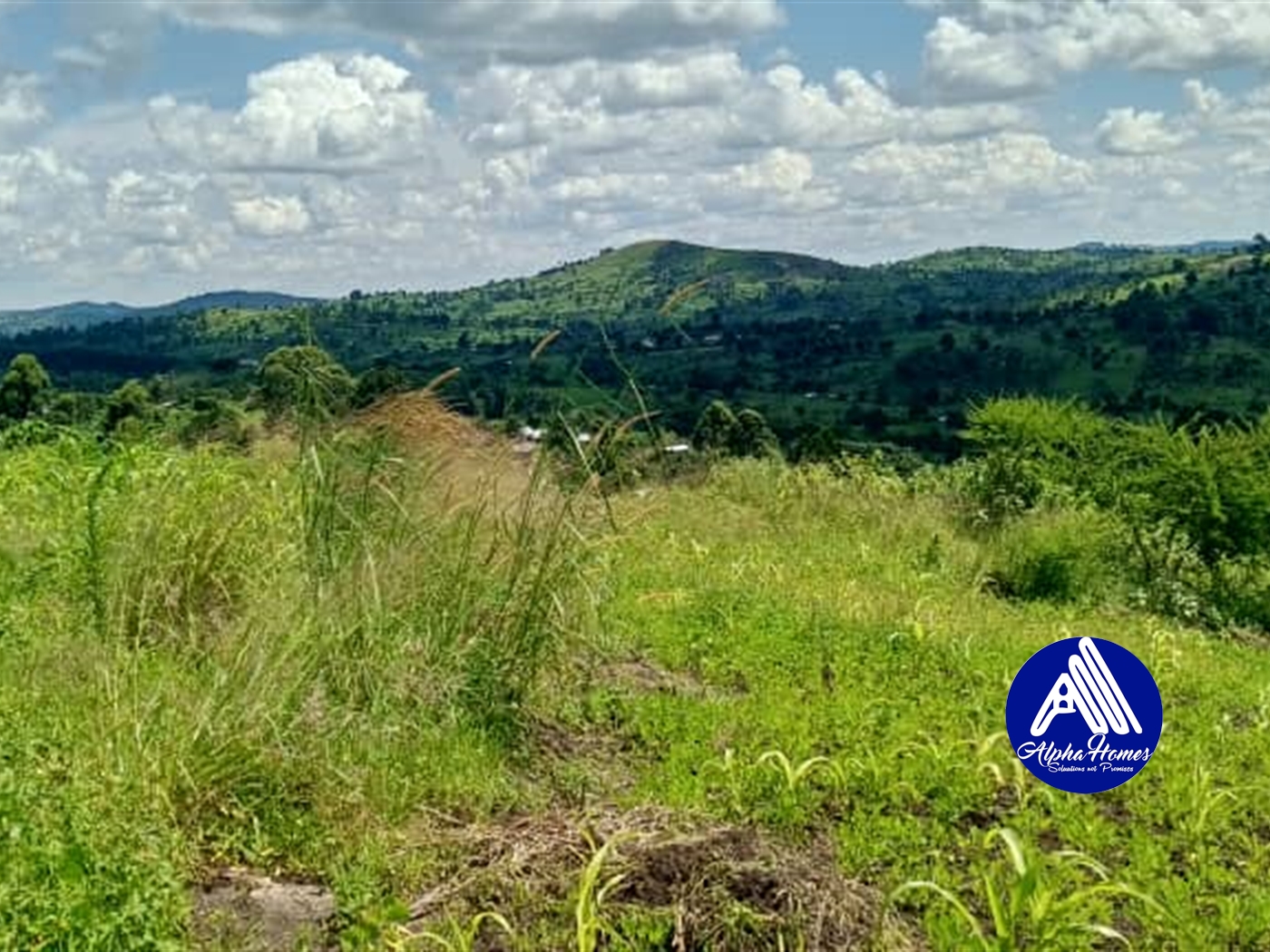 Agricultural Land for sale in Kyaka Kyegegwa