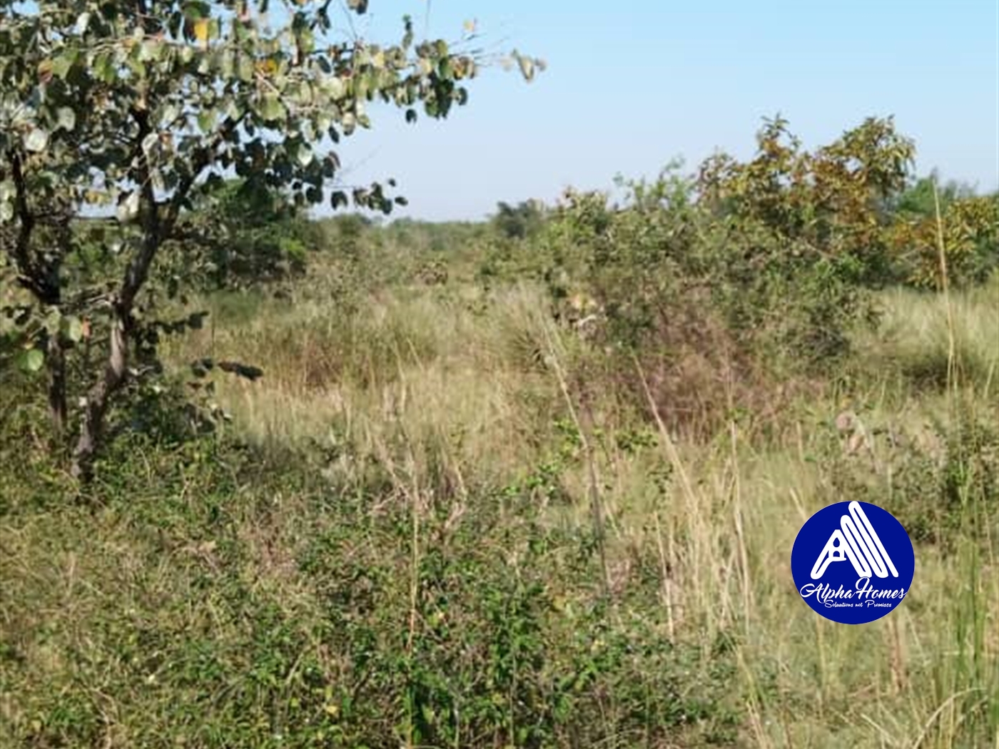 Multipurpose Land for sale in Kakooge Nakasongola