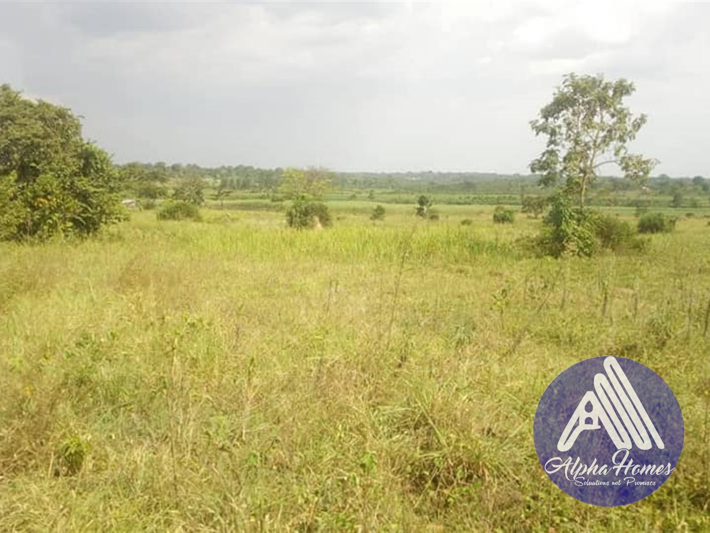 Agricultural Land for sale in Mukono Mukono