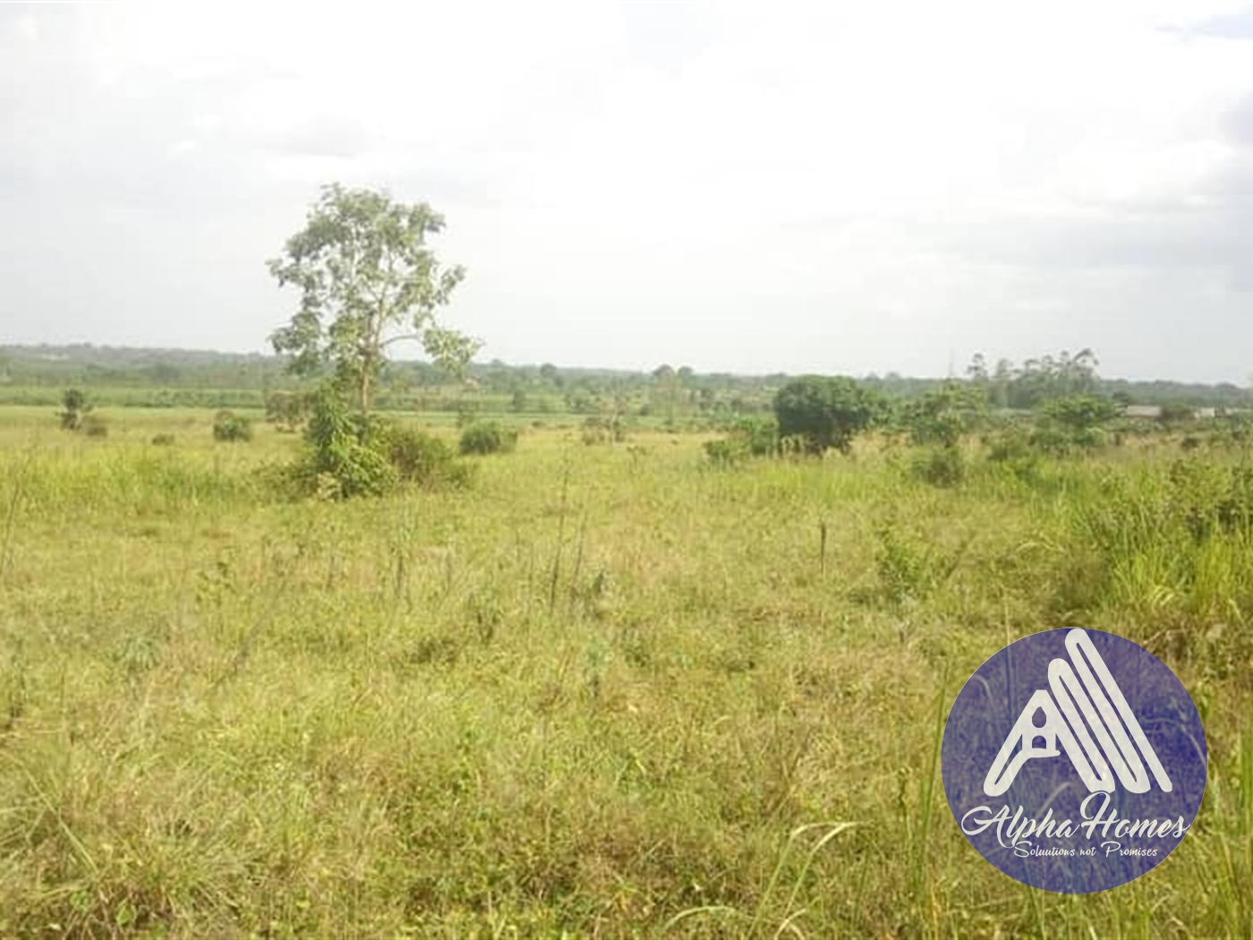 Agricultural Land for sale in Mukono Mukono