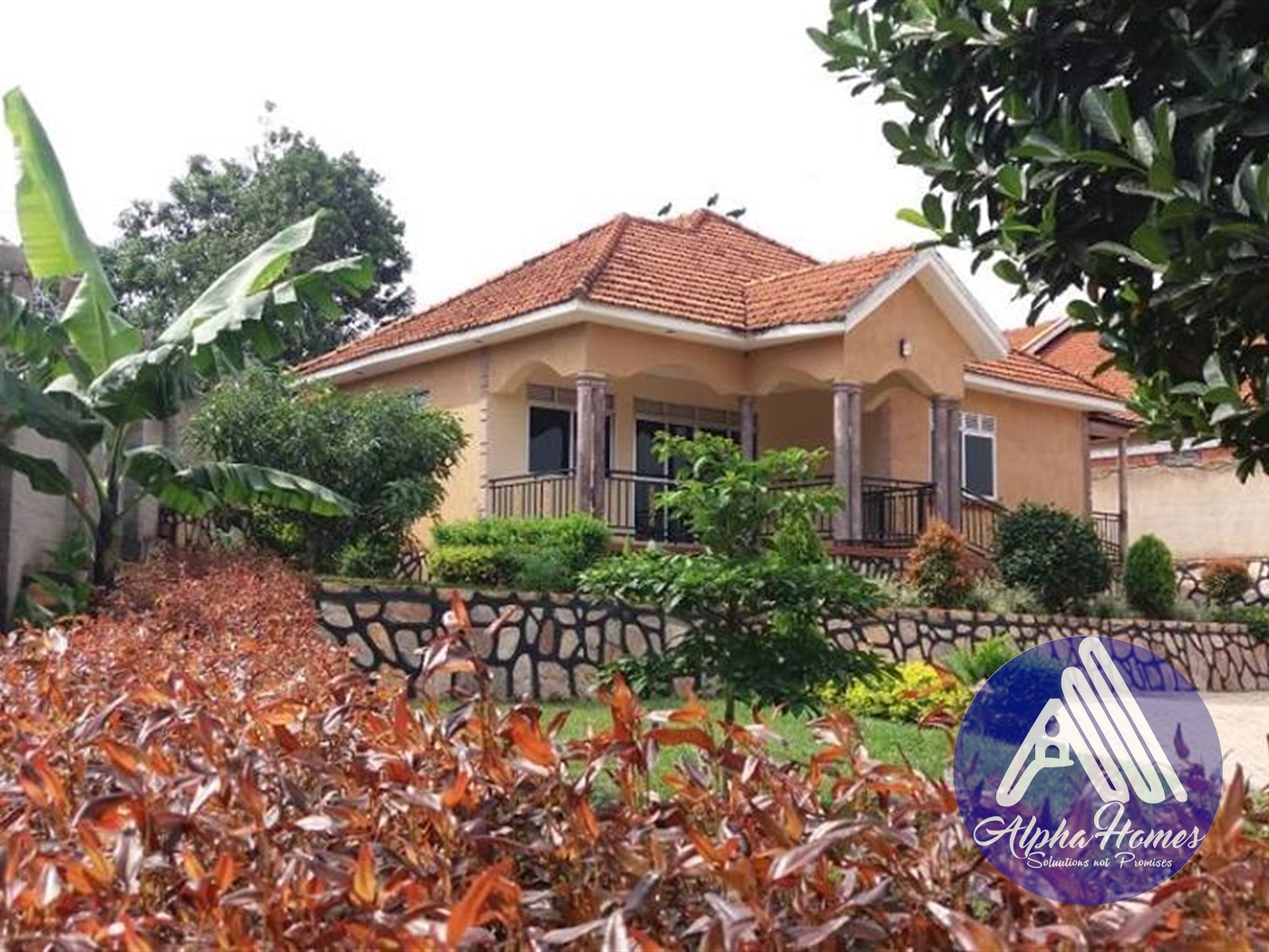 Bungalow for rent in Bukoto Kampala