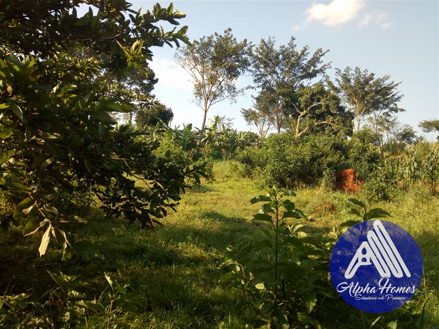 Agricultural Land for sale in Kikyuusa Mukono