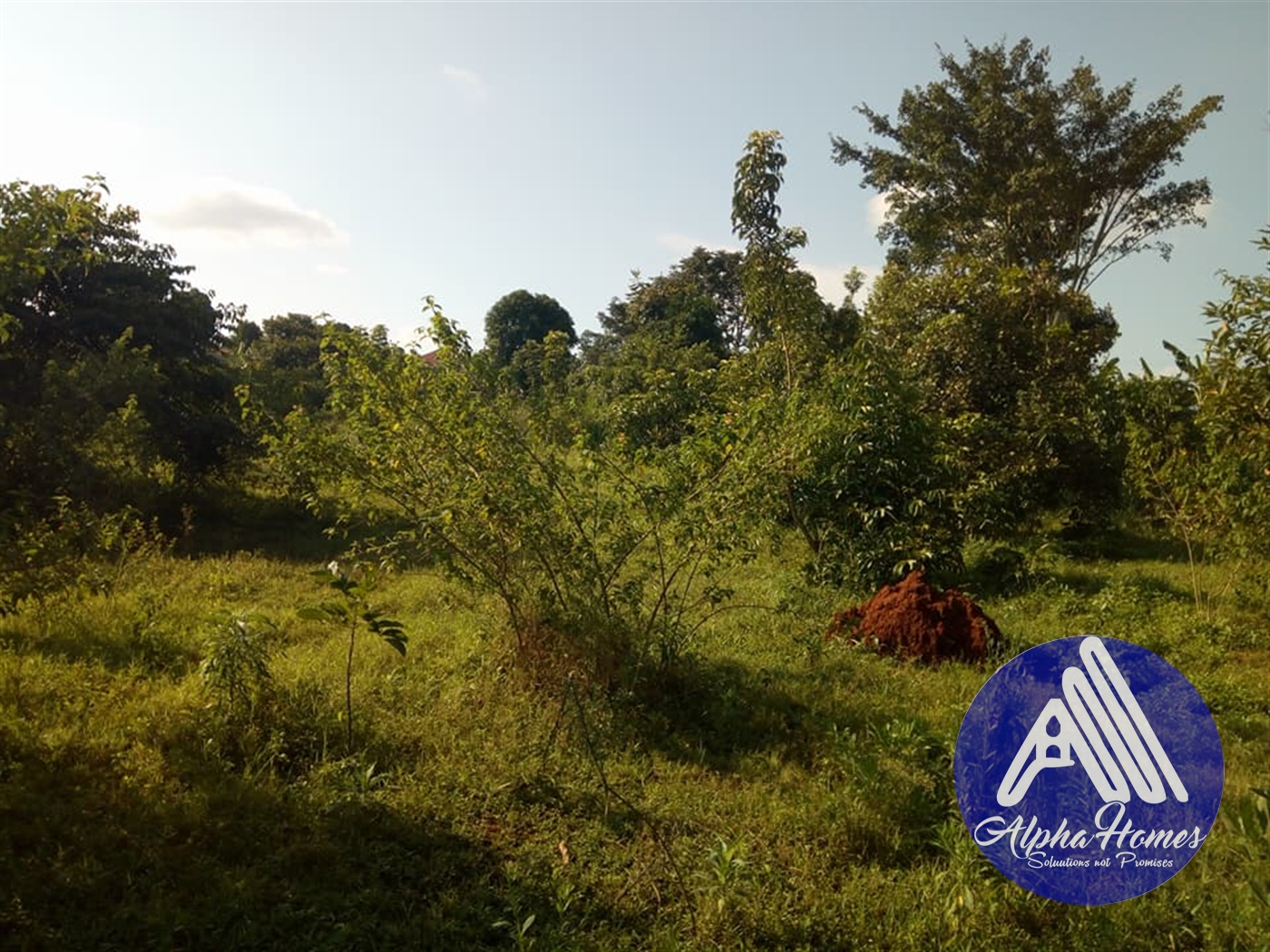 Agricultural Land for sale in Kikyuusa Mukono