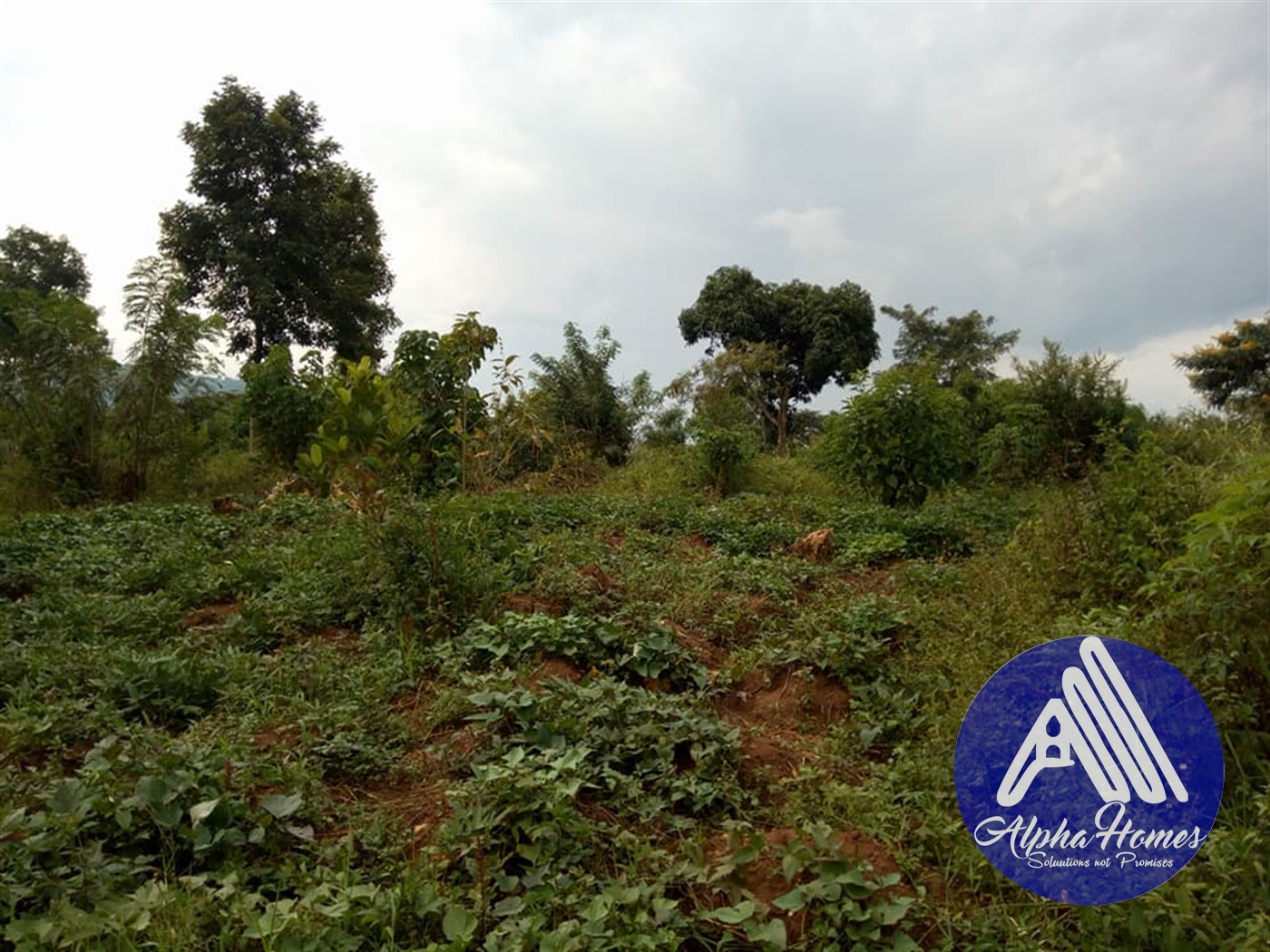 Agricultural Land for sale in Kikyuusa Mukono