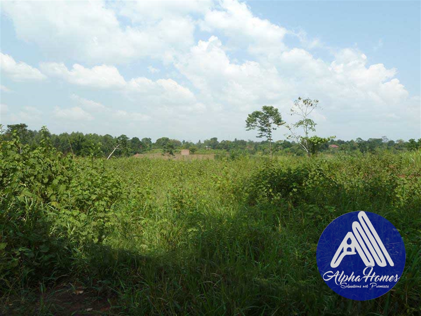 Agricultural Land for sale in Gayaza Kampala