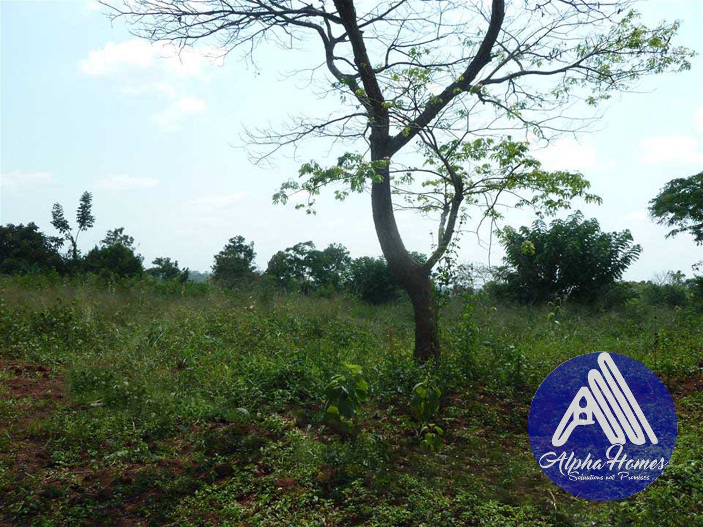 Agricultural Land for sale in Gayaza Kampala