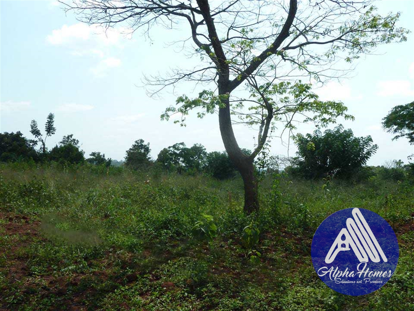 Agricultural Land for sale in Gayaza Kampala