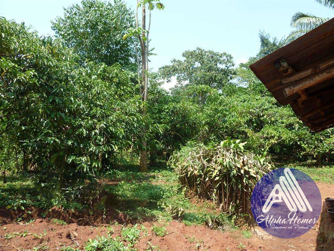 Agricultural Land for sale in Gayaza Wakiso