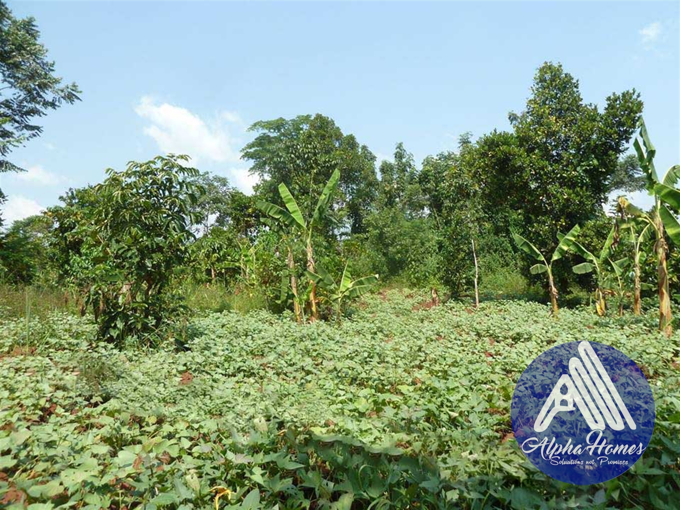 Agricultural Land for sale in Gayaza Wakiso