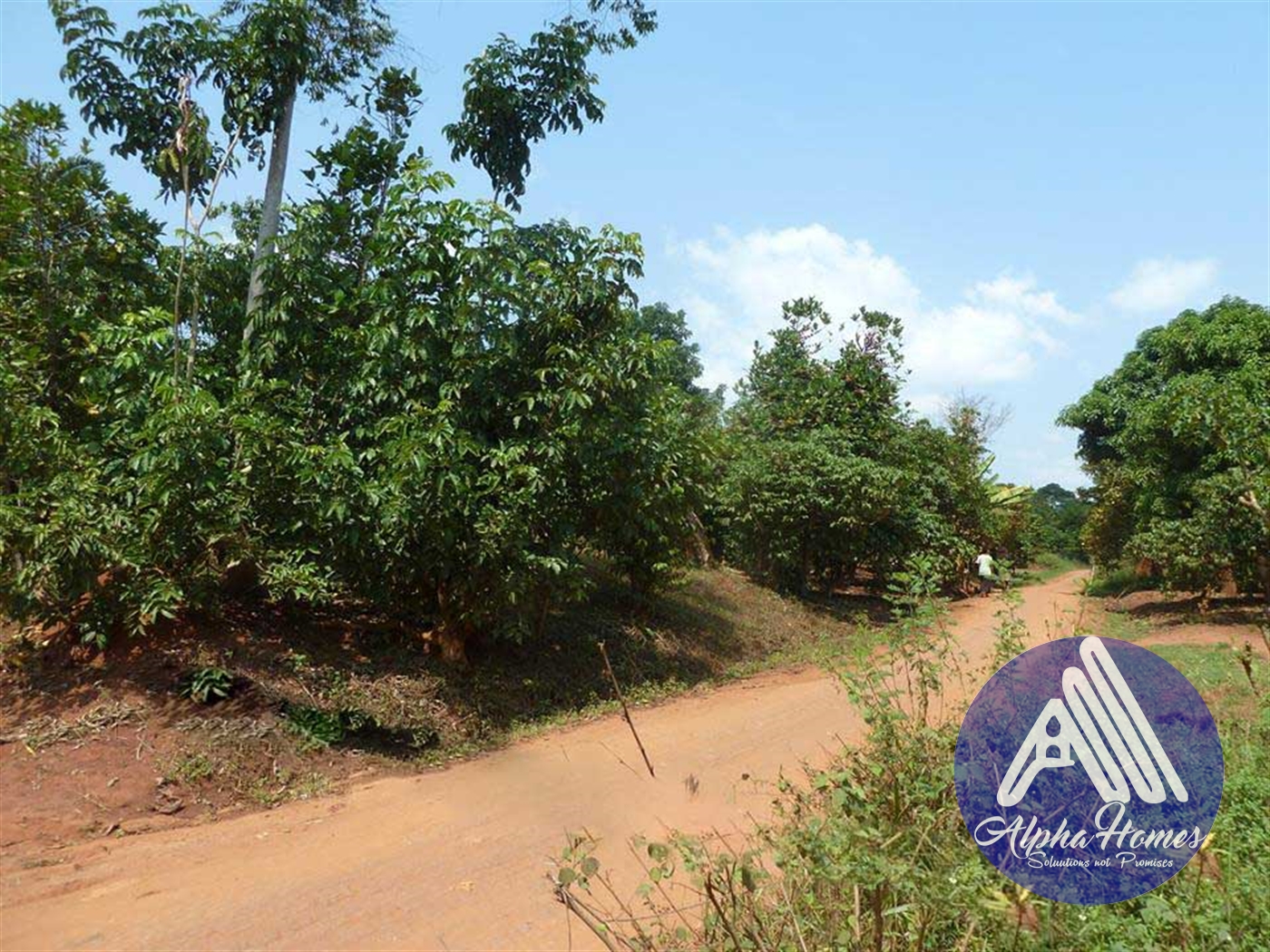 Agricultural Land for sale in Gayaza Wakiso