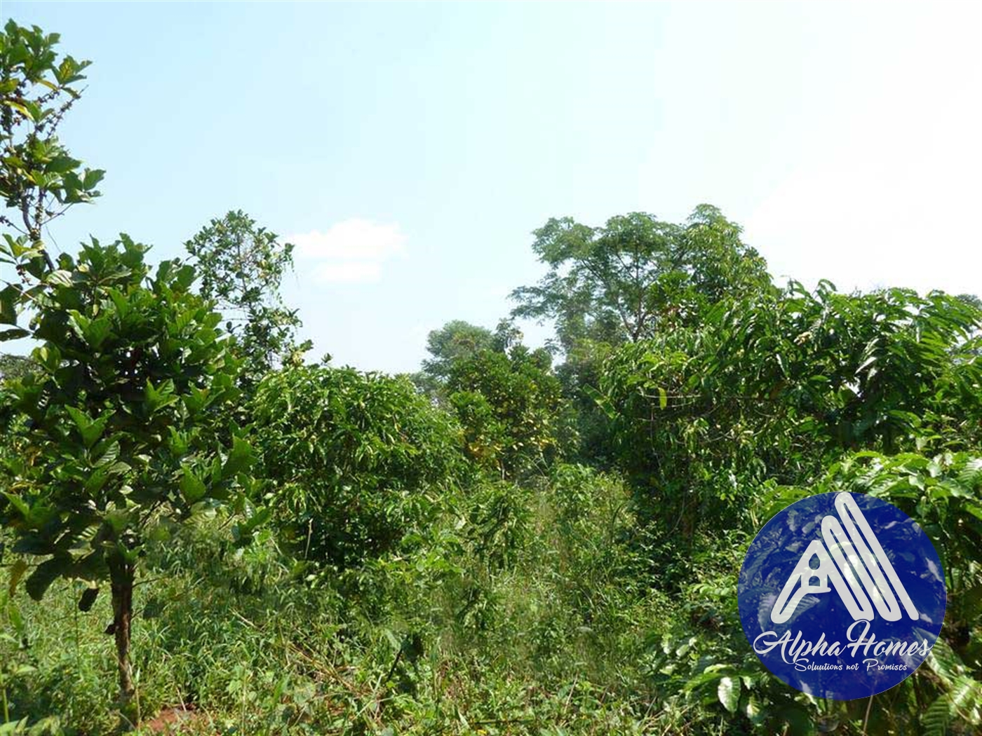 Agricultural Land for sale in Gayaza Wakiso