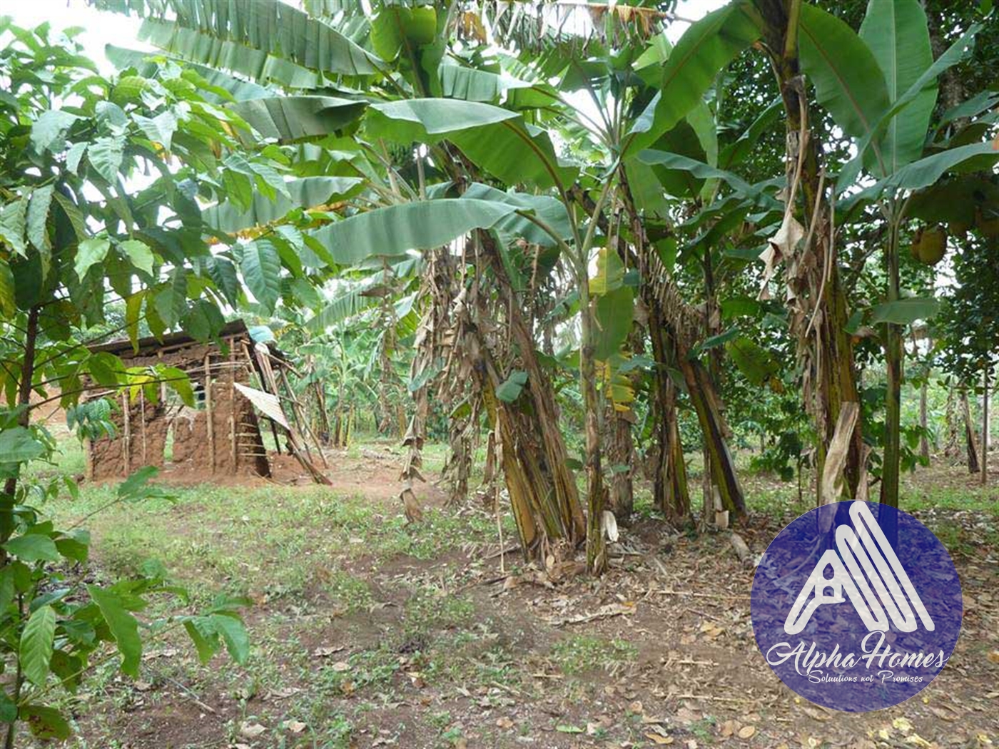 Residential Land for sale in Ziloobwe Kampala