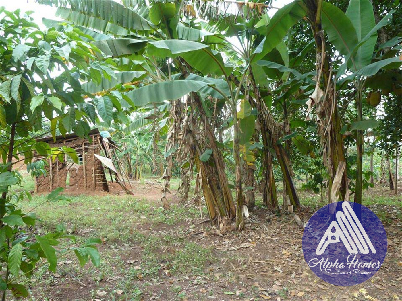 Residential Land for sale in Ziloobwe Kampala