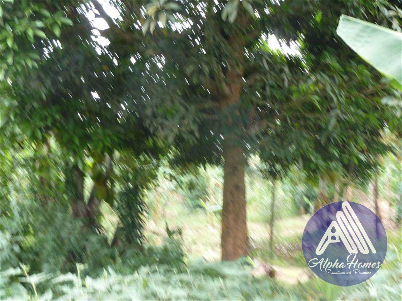 Residential Land for sale in Ziloobwe Kampala