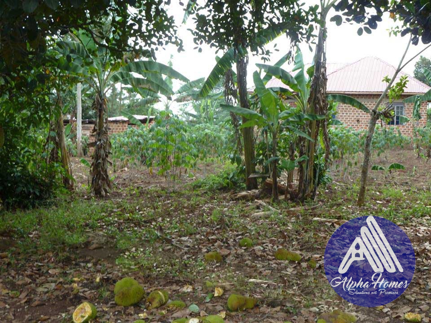 Residential Land for sale in Ziloobwe Kampala