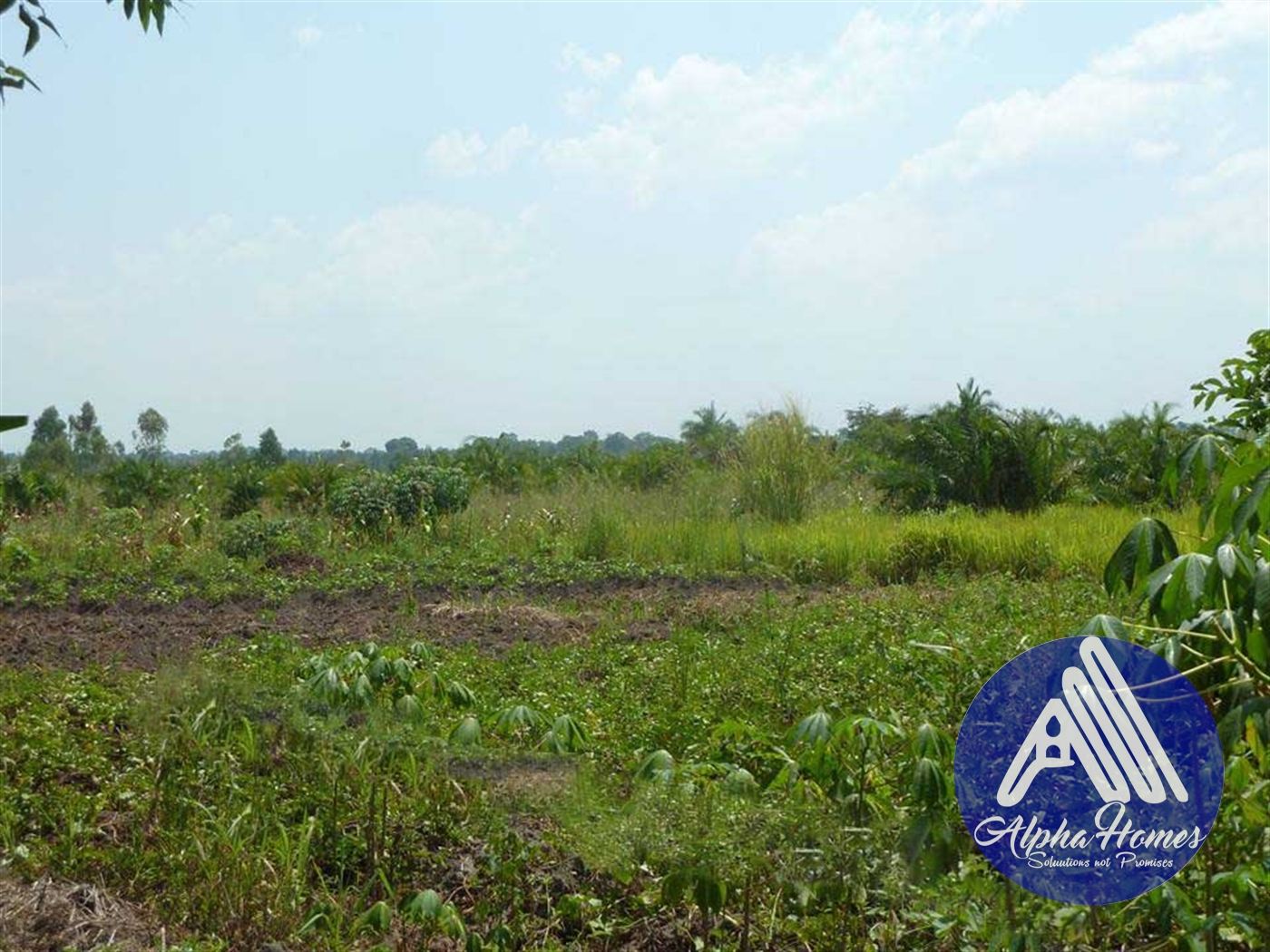 Residential Land for sale in Ziloobwe Kampala