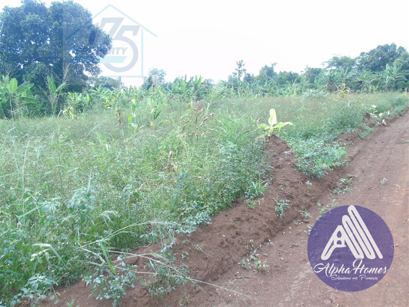 Residential Land for sale in Gayaza Kampala