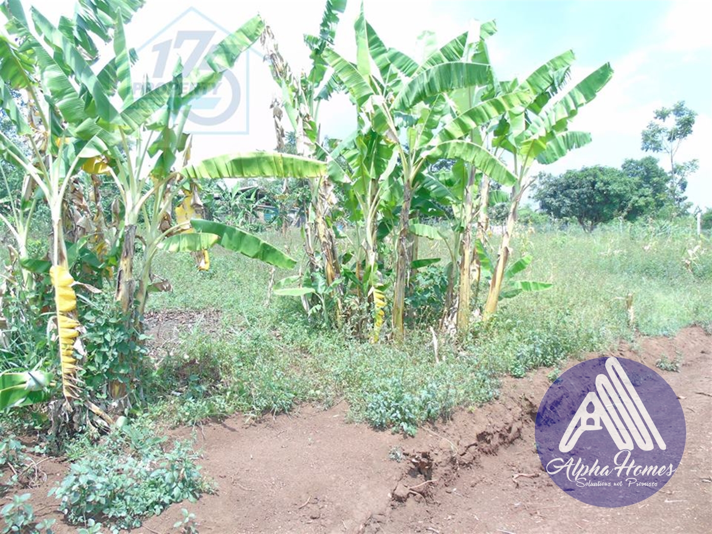 Residential Land for sale in Gayaza Kampala