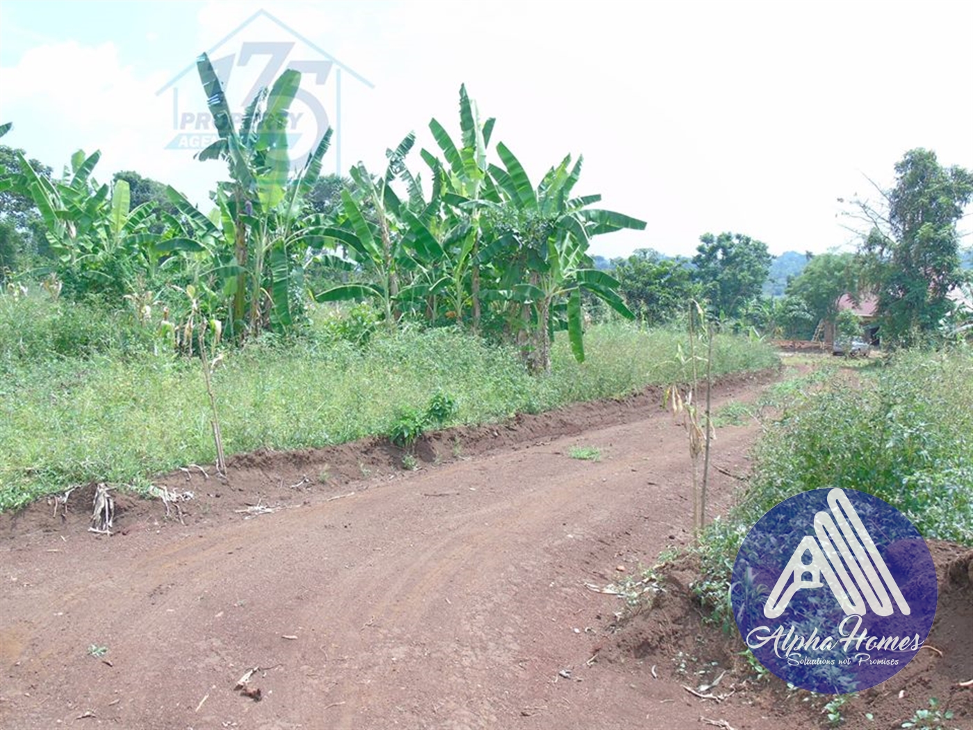 Residential Land for sale in Gayaza Kampala