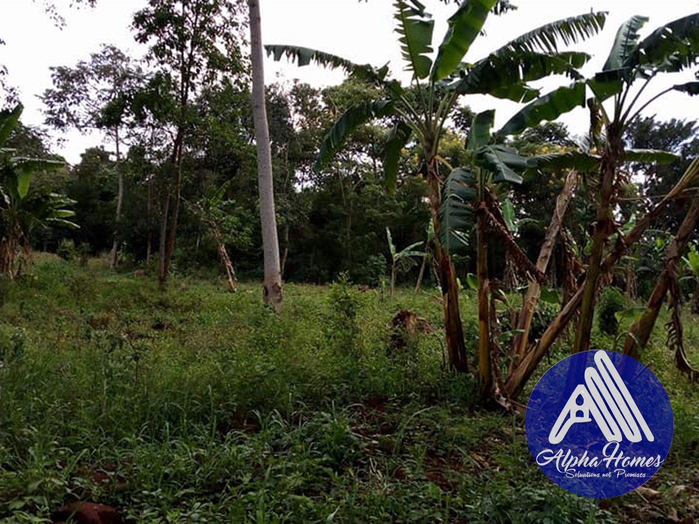 Residential Land for sale in Kira Kampala