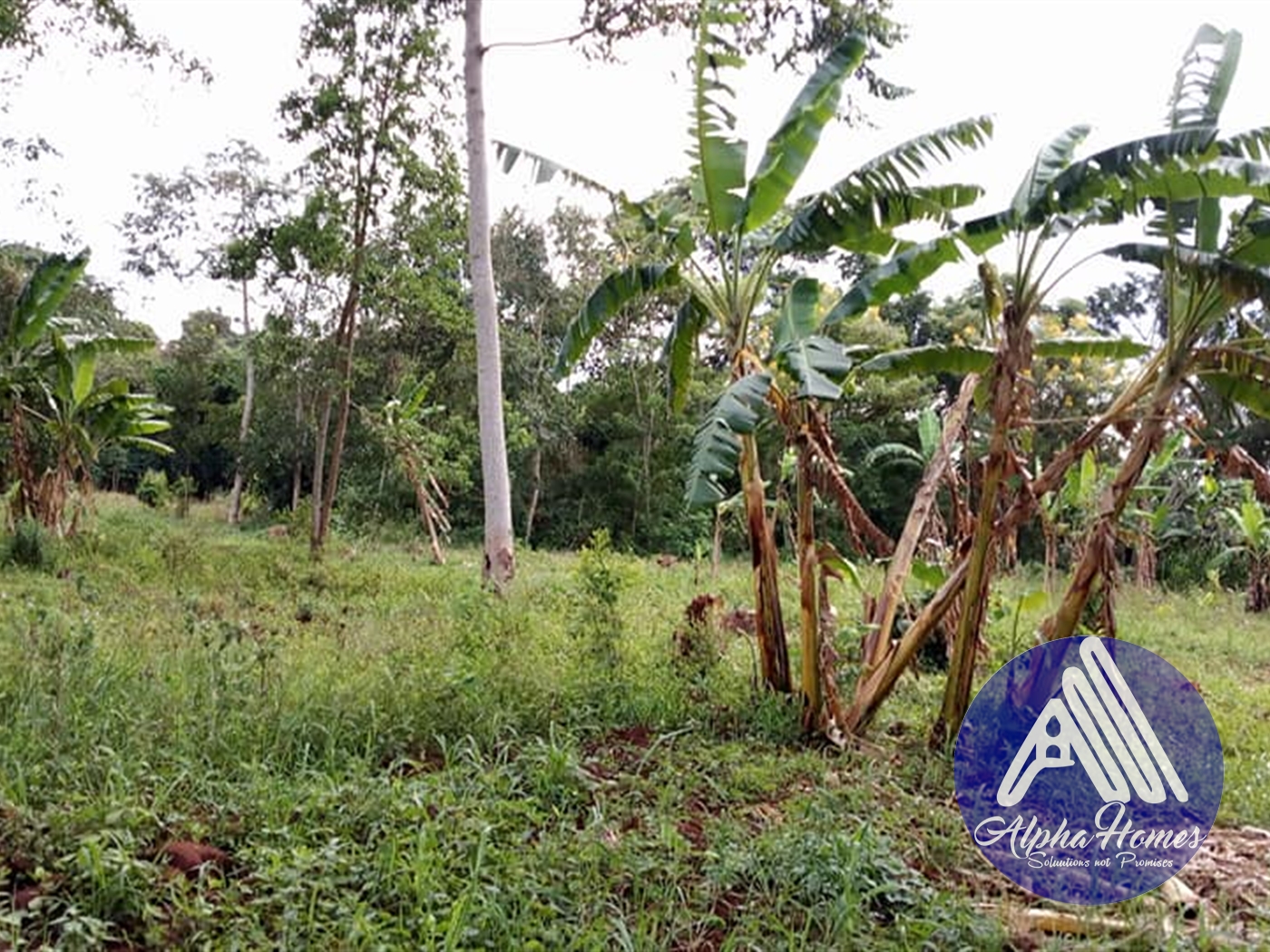 Residential Land for sale in Kira Kampala