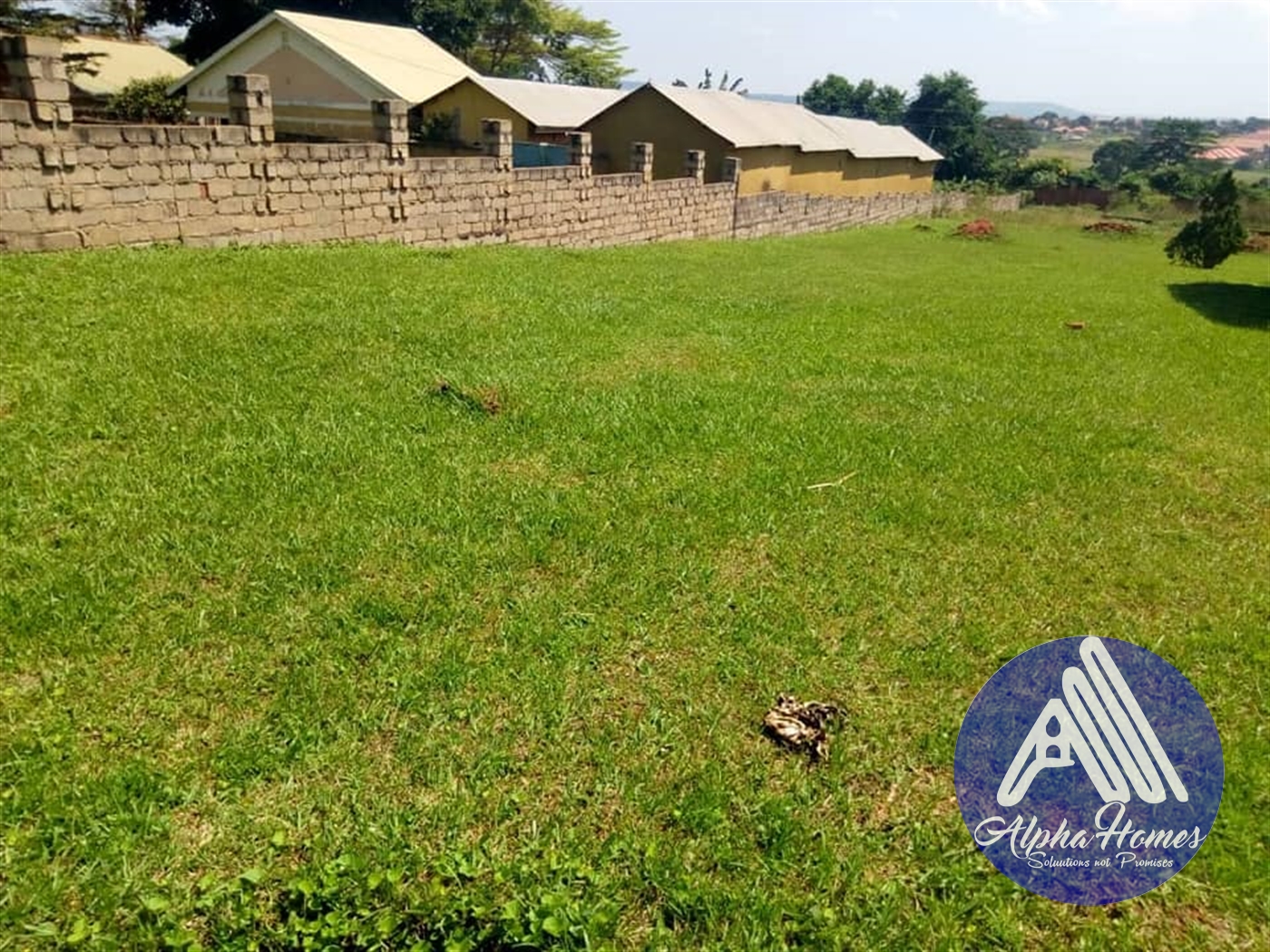 Bungalow for rent in Entebbe Wakiso