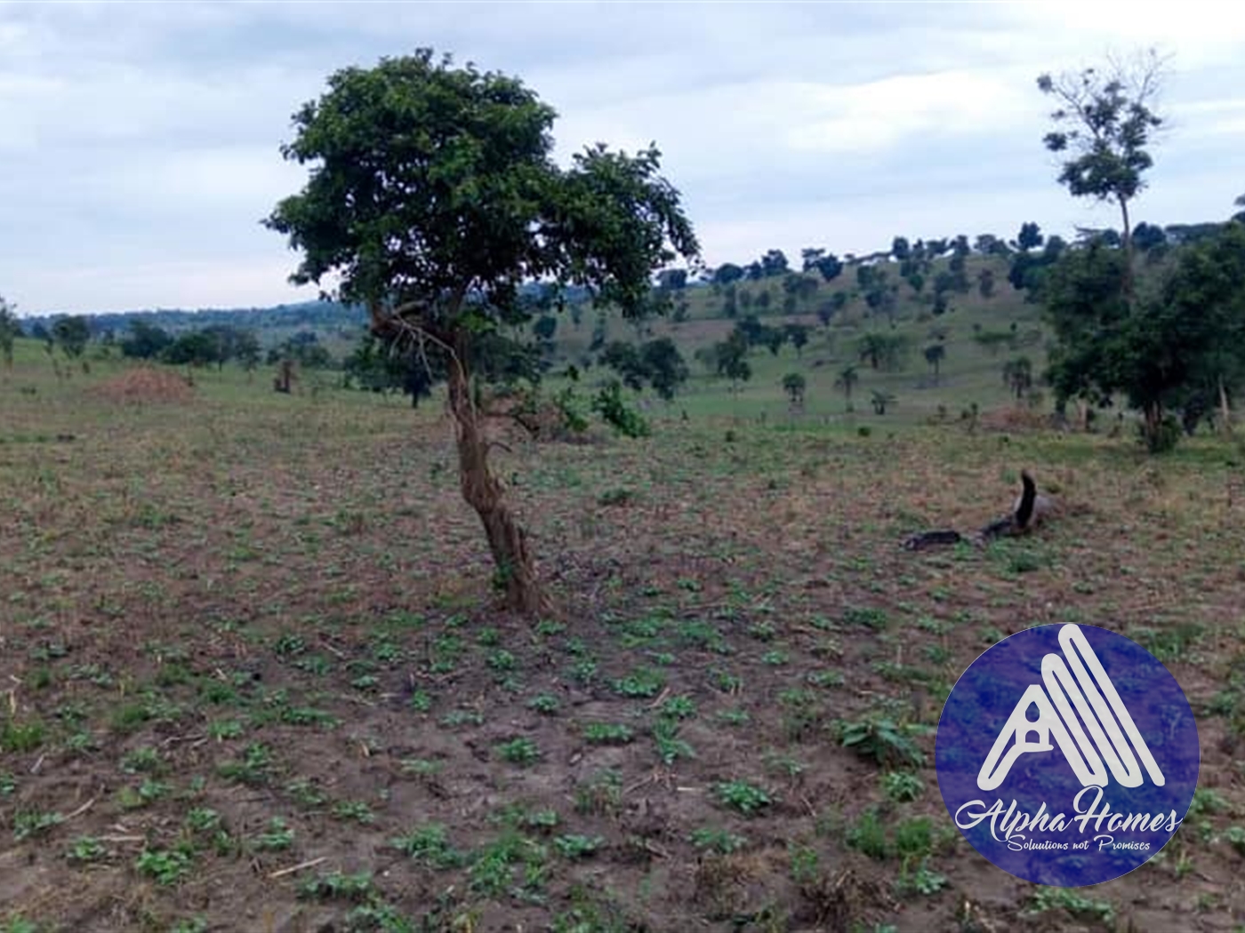 Agricultural Land for sale in Mubende Mubende