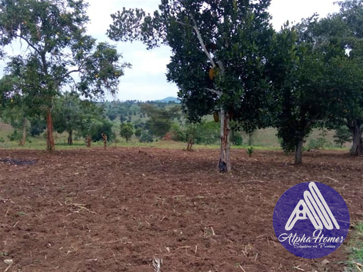 Agricultural Land for sale in Mubende Mubende